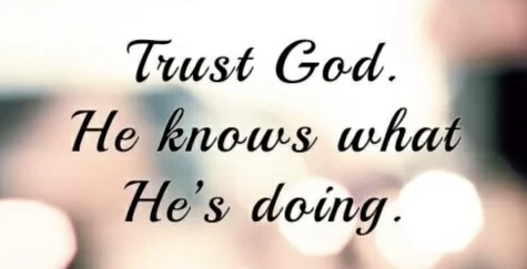 CAA000E1-0C9F-4B7B-A8EA-7C416C869A73_1_201_a