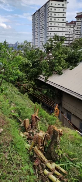 IMG_20211217_151546-7ccf2