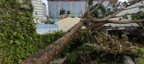 IMG_20211221_143755-16e2d